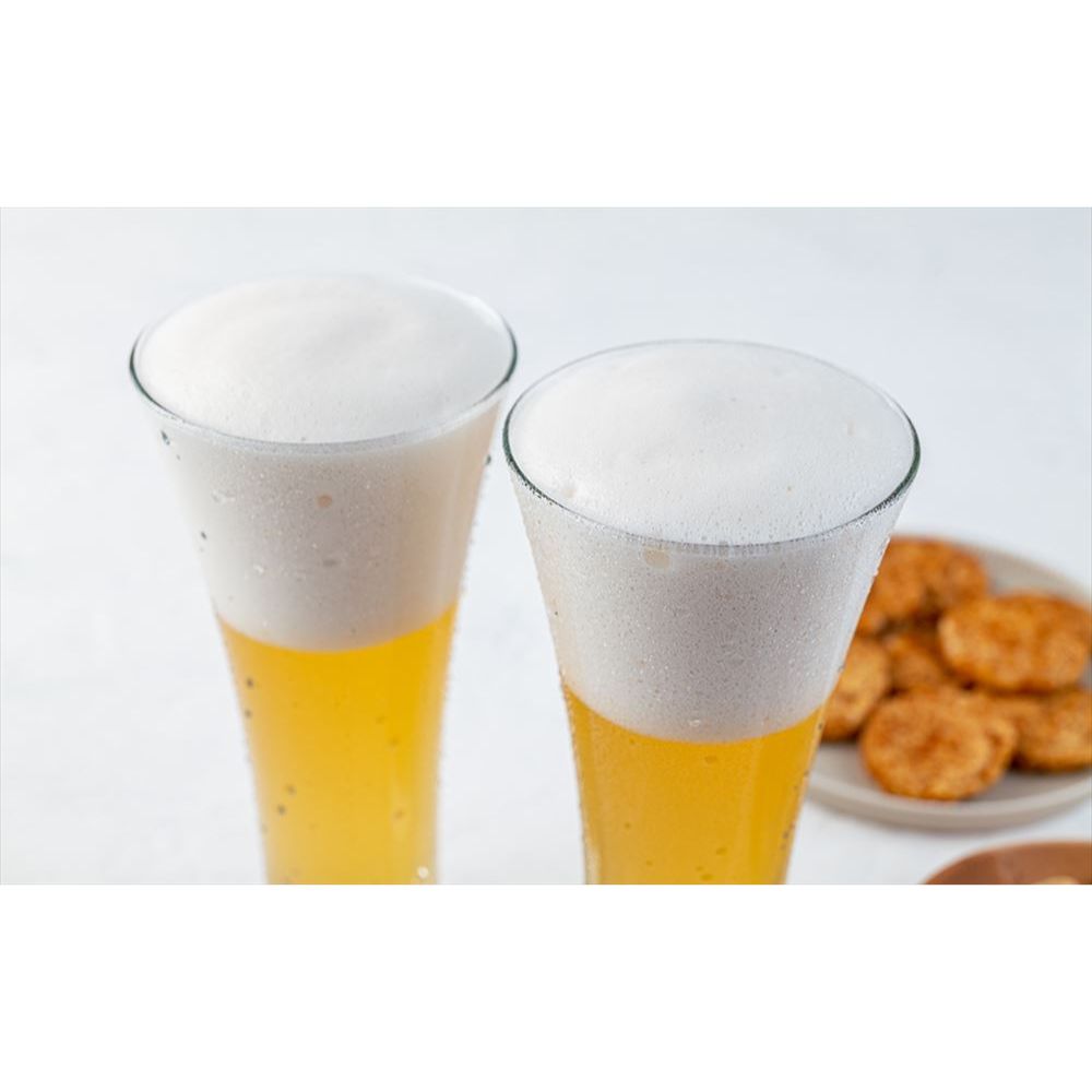 未組立KAIYODO メカブトン 40cm ソフトビールキット　ガレキ 鋸南町のクラフトビール きょなんビール | KYONAN BEER | きょなん